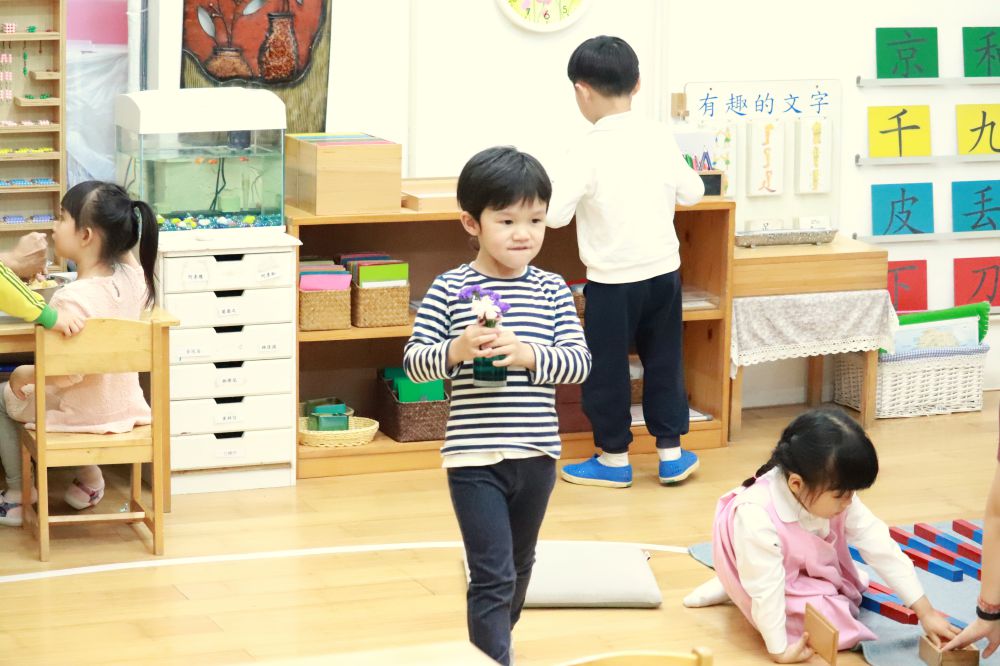 1557974357433645.jpg IMG_1009.jpg