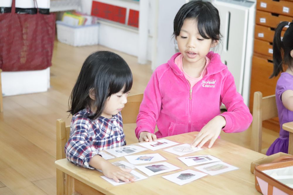 1557974414408701.jpg IMG_2896.jpg