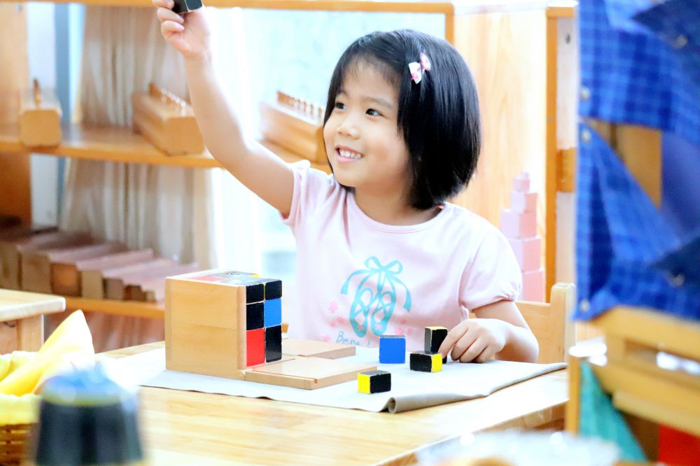 1557974562226483.jpg IMG_2977.jpg