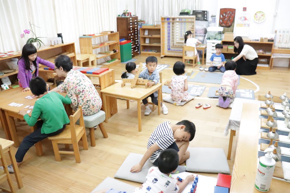 1557976802979521.jpg IMG_2483.jpg