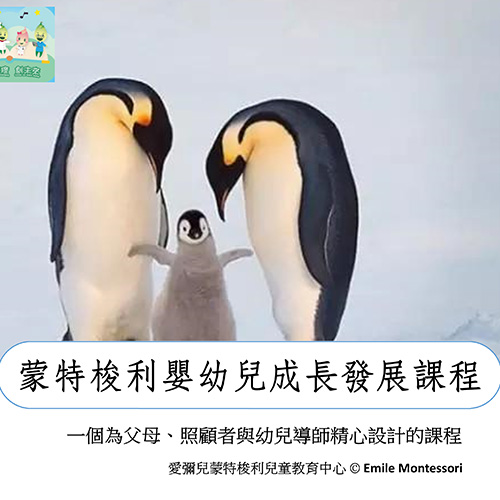 MMA Early childhood development and Montessori pedagogy workshop